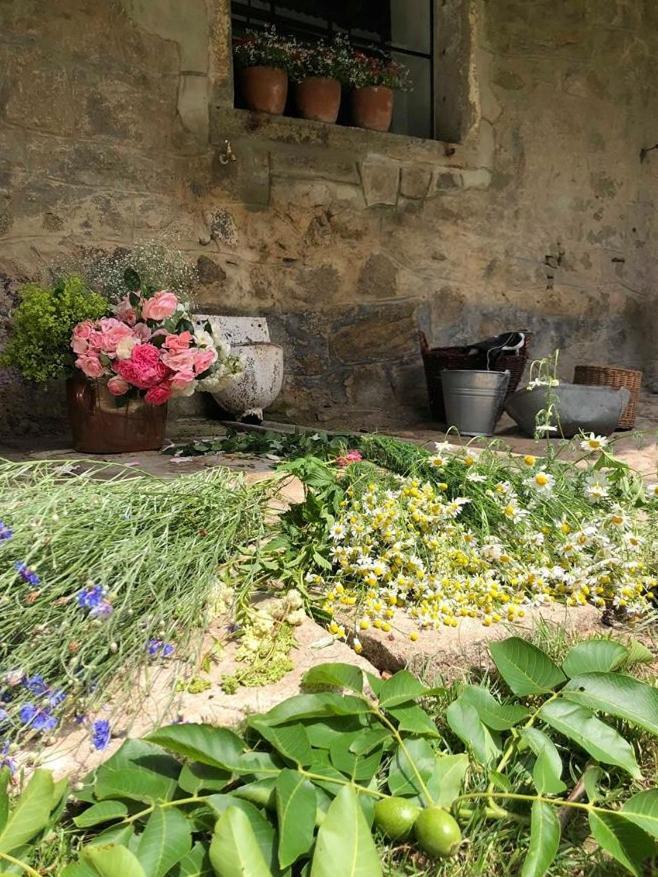 Ubytovani Napoli Stara Cervena Voda المظهر الخارجي الصورة